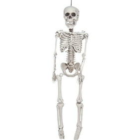 One Size As Shown 60-Inches Forum Novelties Fully Body Rotten Skeleton Decoration